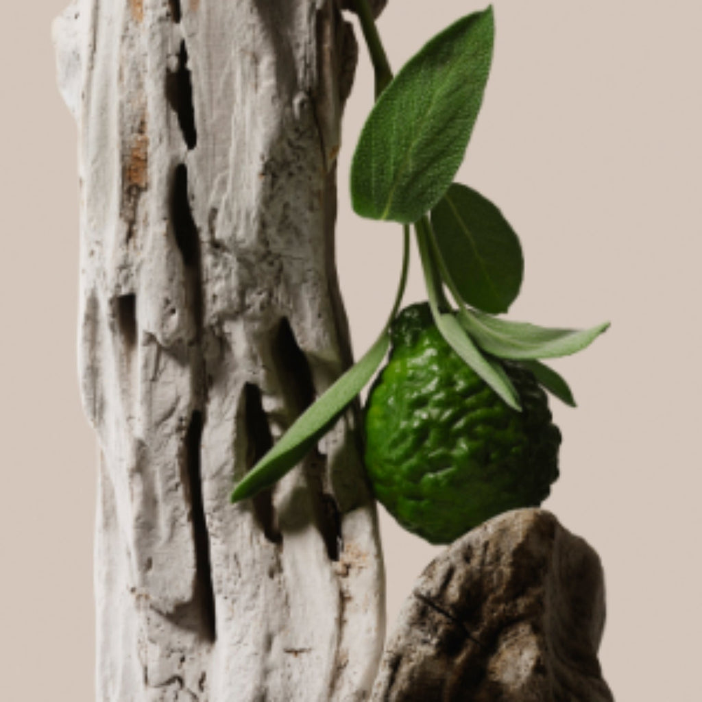 Driftwood - Trio