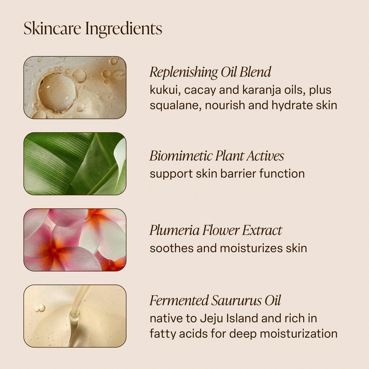 Santal Bloom - Body Oil