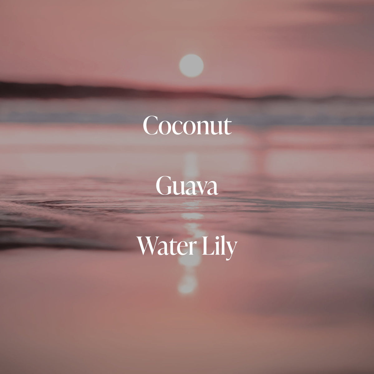 Coral Coast - Serum Deodorant